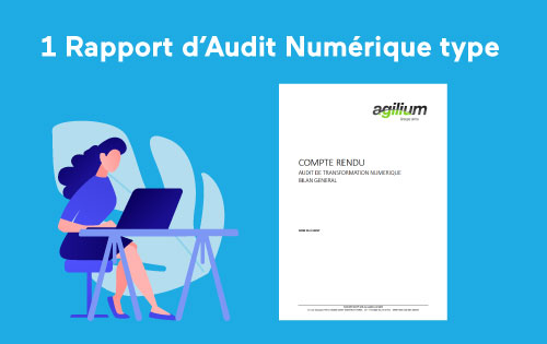 rapport audit numérique type